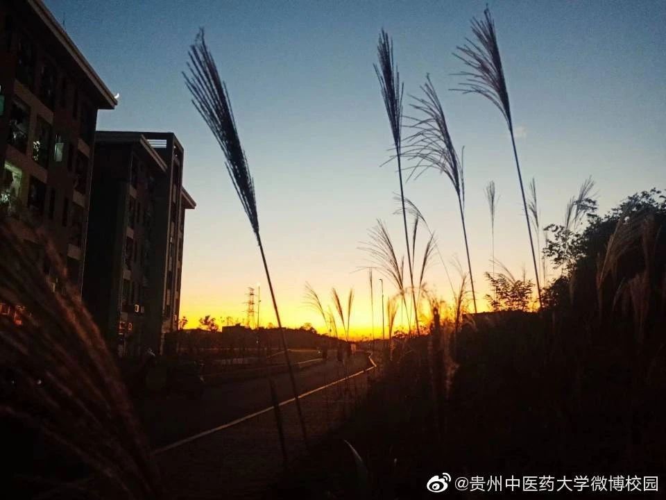 undefined undefined